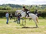 Wanborough Horse and Dog show
